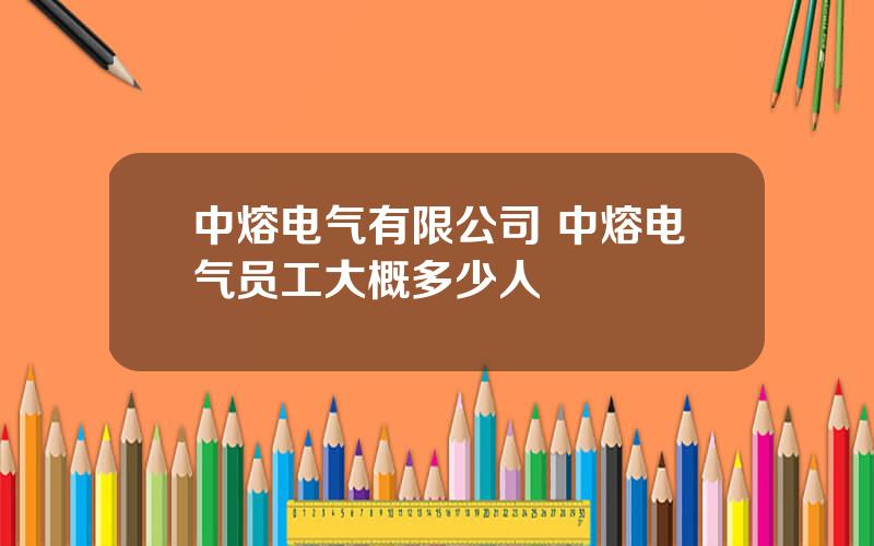 中熔电气有限公司 中熔电气员工大概多少人